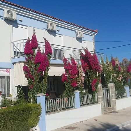 迪亚曼蒂一室公寓酒店 斯卡拉卡伦尼斯 外观 照片